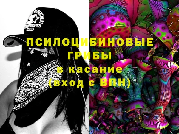 mdpv Арсеньев