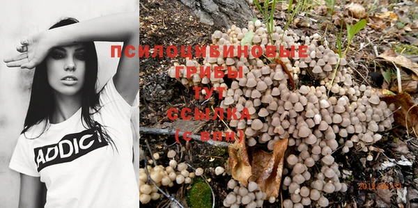 mdpv Арсеньев