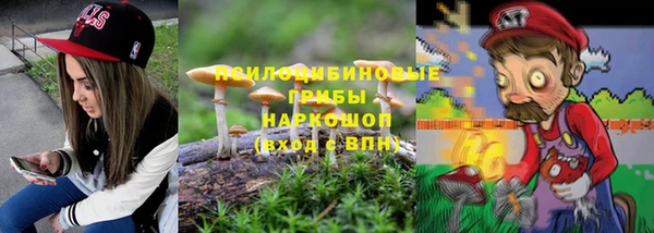 спиды Армянск