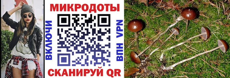 Псилоцибиновые грибы MAGIC MUSHROOMS  Печора 