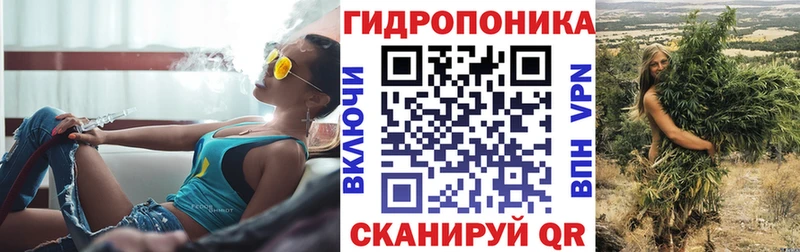 где найти   Печора  Конопля Amnesia 